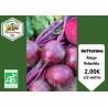Betterave rouge "Robushka" x12 Mottes