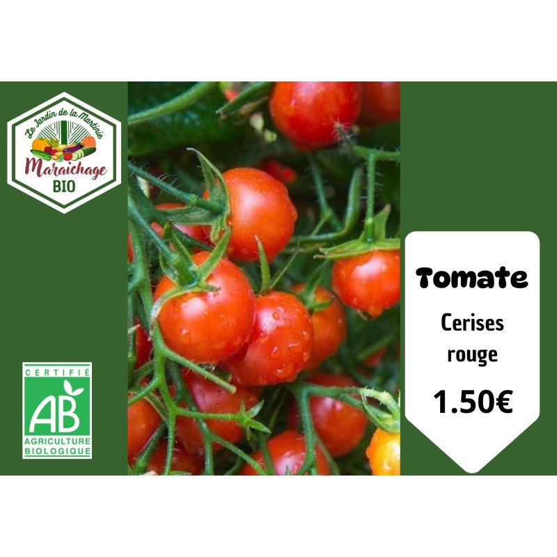 Tomates " cerise rouge"