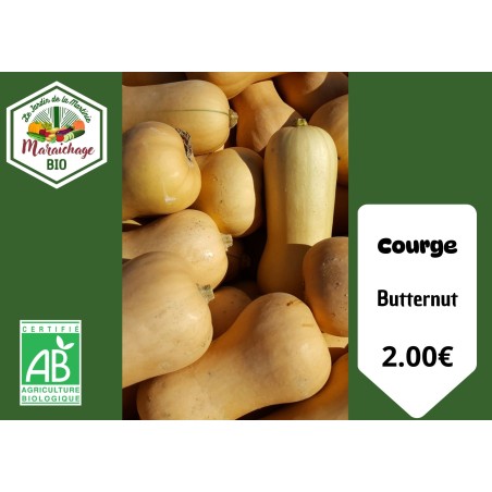 Courge "Butternut"