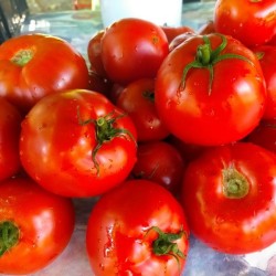 Tomates 500gr