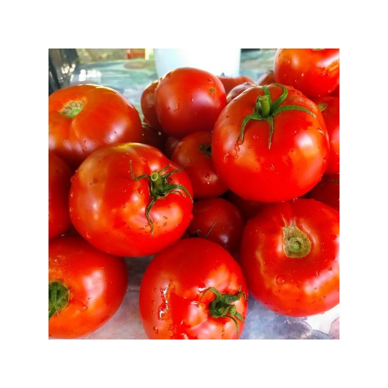 Tomates 500gr