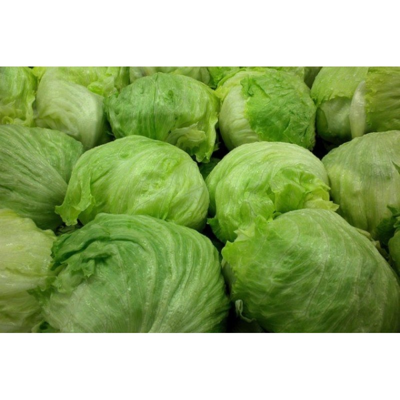 Iceberg