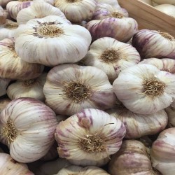 Ail 100gr