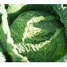 Chou de milan unité (env 1.5 kg - 2k )