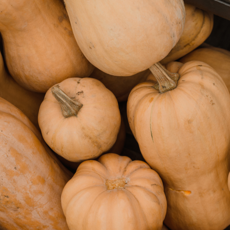 Butternut 1kg-1kg2