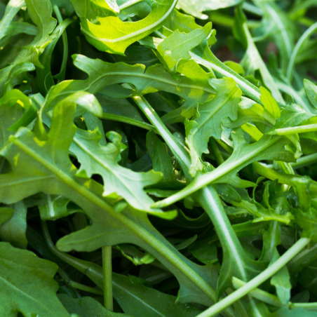 Roquette 200gr