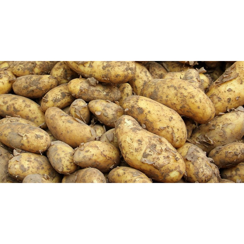 Pommes de terre  1kg