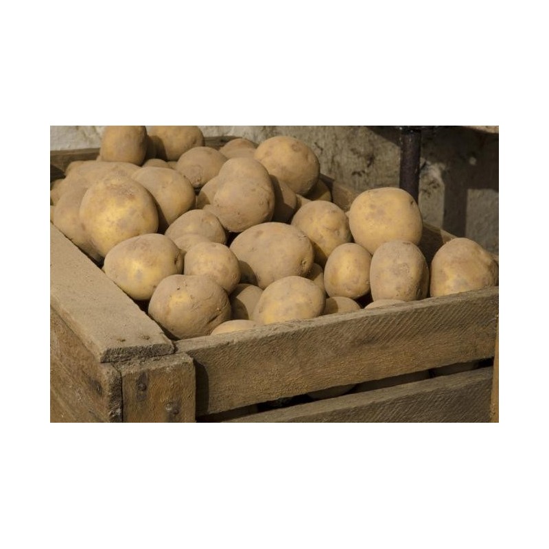 Pommes de terre  1kg  conservation