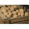 Pommes de terre  1kg  conservation