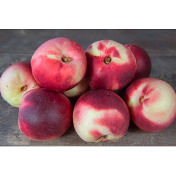 Nectarine blanche 1kg