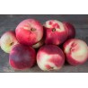 Nectarine blanche 1kg