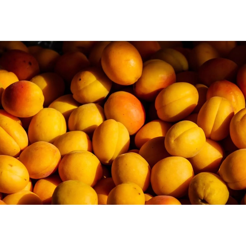 Abricot 1kg