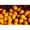 Abricot 1kg