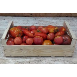 PROMO Tomate coulis 5kg