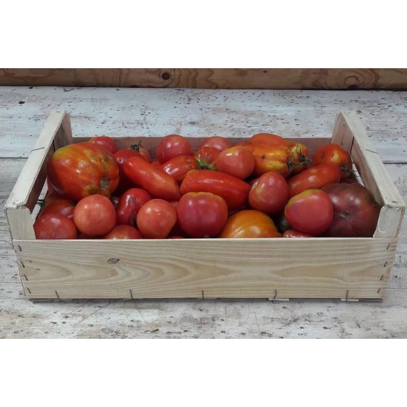 PROMO Tomate coulis 5kg