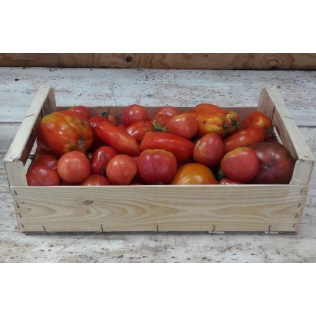 PROMO Tomate coulis 5kg