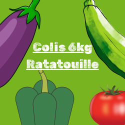 PROMO colis ratatouille