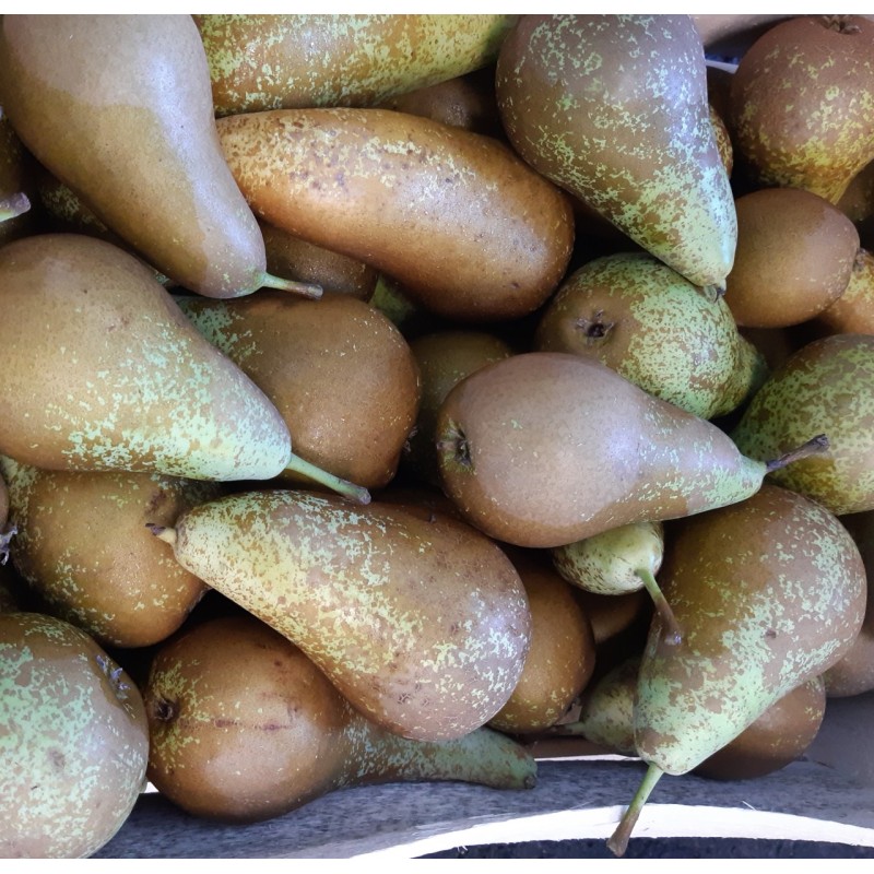 poire conference 1 kg