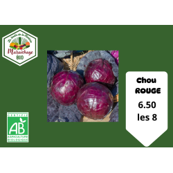 Chou rouge Tete noir 3