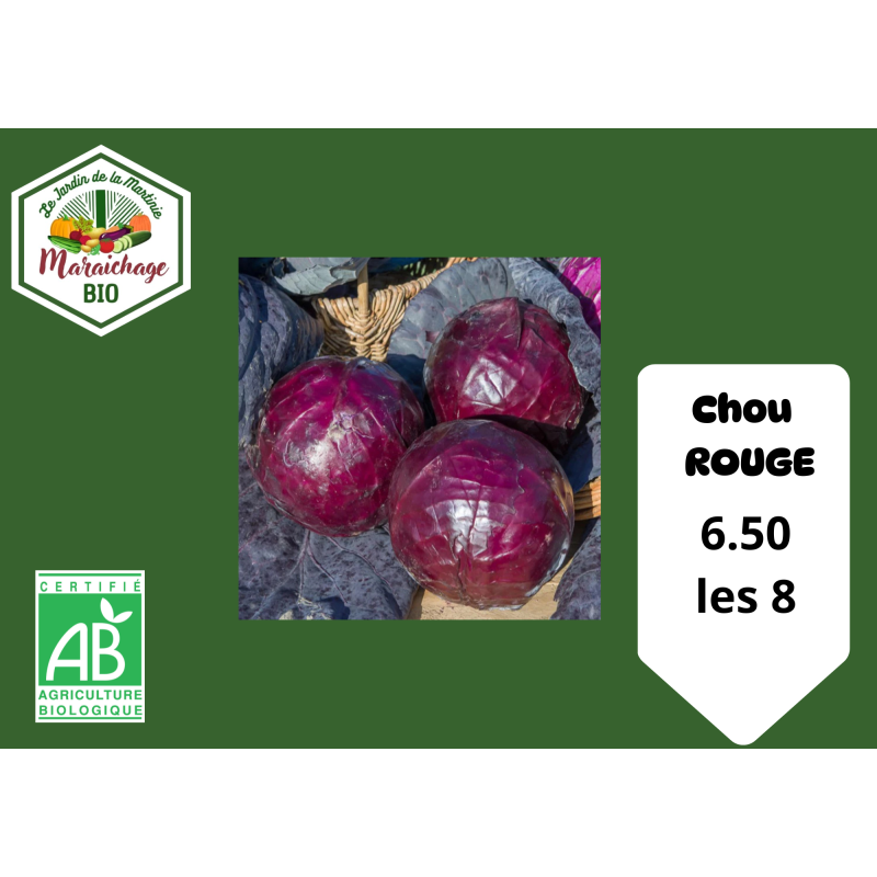 Chou rouge Tete noir 3