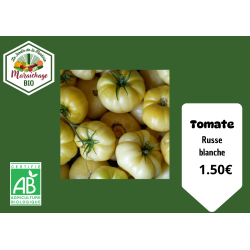 Tomates " Russe blanche"