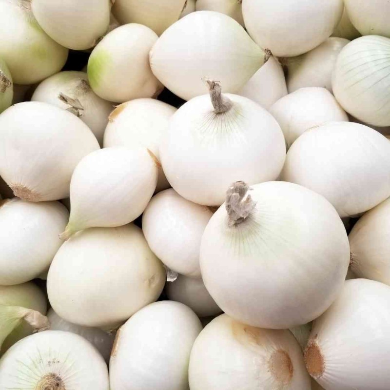 Oignons blanc 500gr