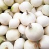 Oignons blanc 500gr