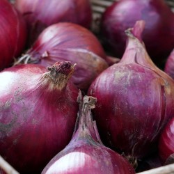 Oignons rouge