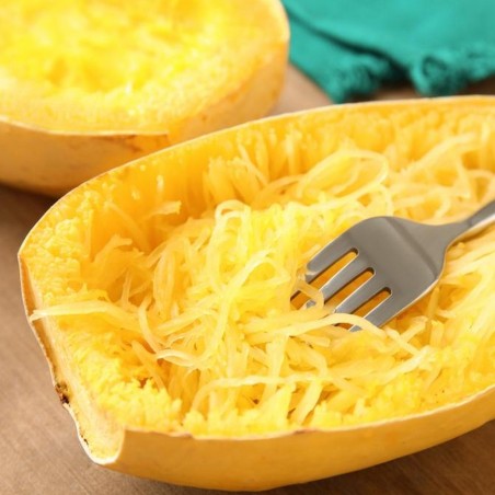 Courge spaghetti