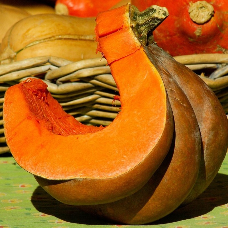 Courge musacade de provence