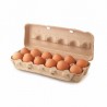 oeuf x12